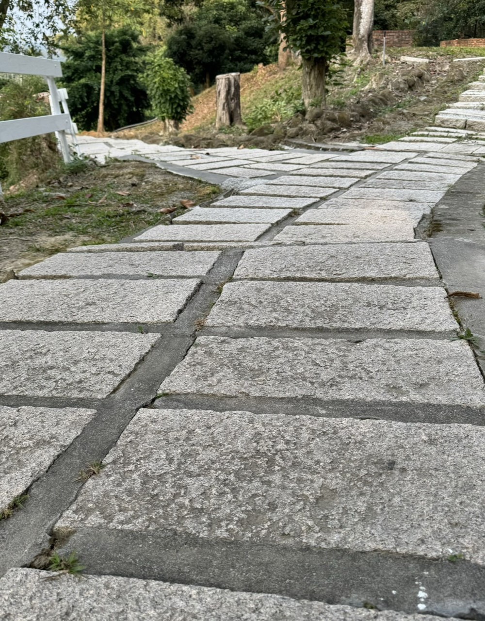 踏石 エクステリア・ガーデニング通販 NXstyle｜和庭・坪庭