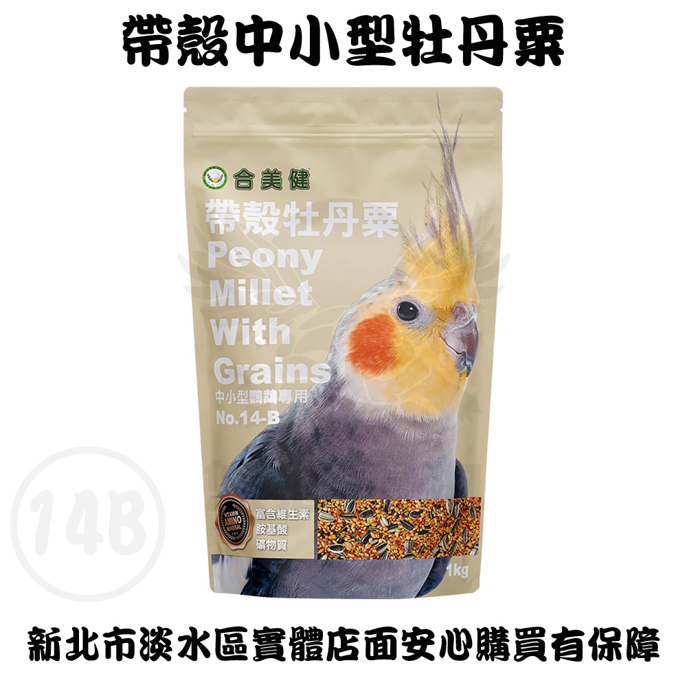 法螺貝網袋（小） 楽天市場】法螺貝網袋の通販