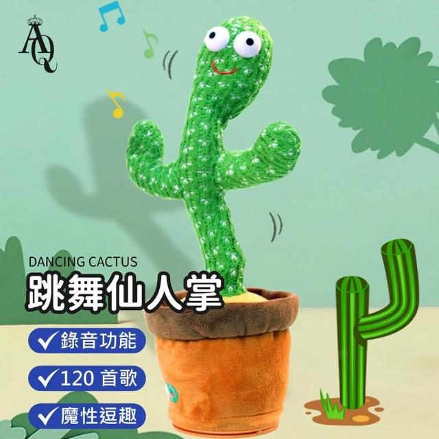 仙人掌 慢慢爬》金武扇仙人掌