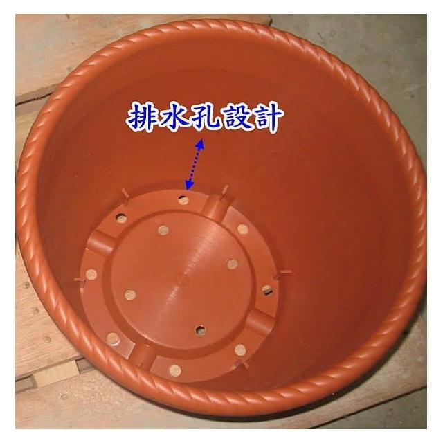 蔬菜之家】玫瑰花歐式浮雕花盆1尺1 型號: F011美觀歐洲盆花盆盆栽種植