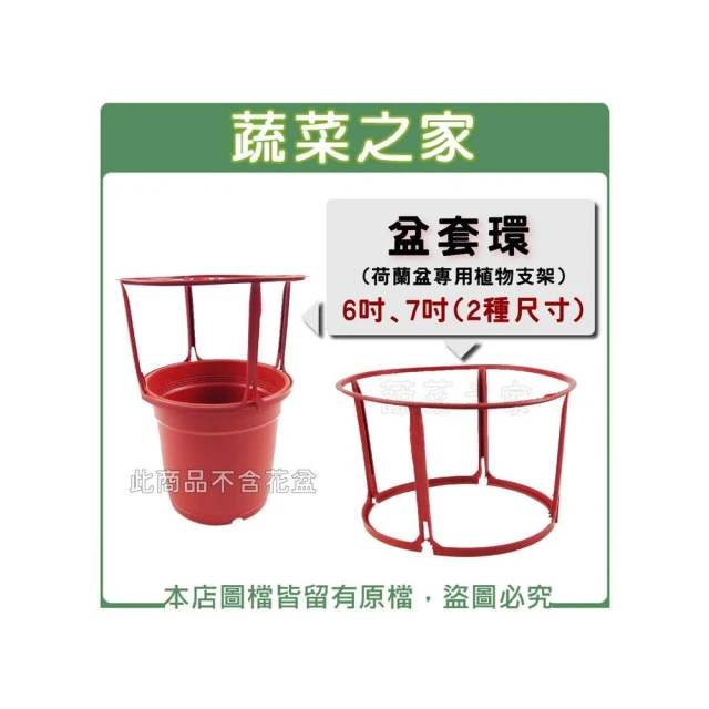 【蔬菜之家】盆套環 6吋、7吋 荷蘭盆.栽培盆專用植物支架) 園藝支撐架 植物環(不含盆器