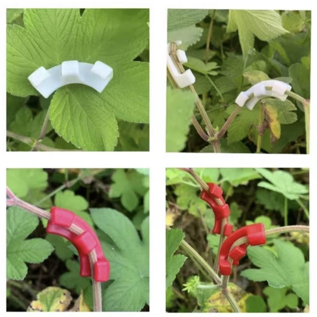 【欣榮園藝資材行】植物壓枝神器 枝條彎曲器 植物定型器 盆景固定器 果樹拉枝神器 果樹壓枝器 彎枝器