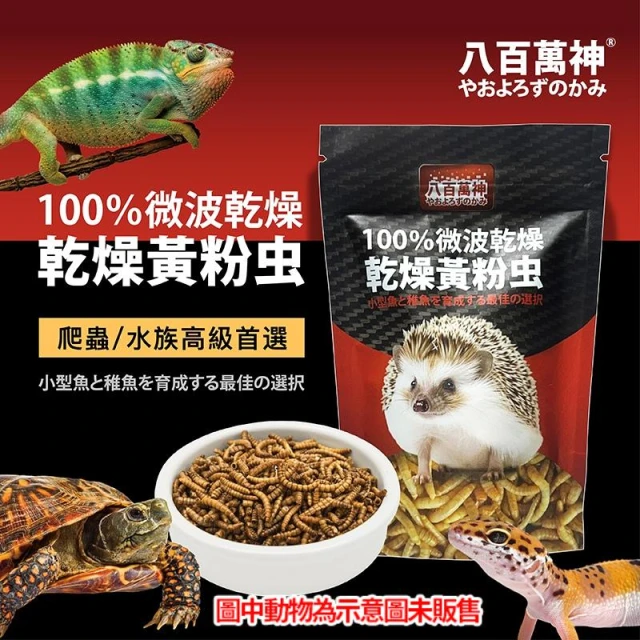 龜室｜麵包蟲乾 烏龜水龜飼料 爬蟲寵物零食 南極蝦 南極蝦乾 豐年蝦 紅蟲 高蛋白 水族龍魚柯爾鴨