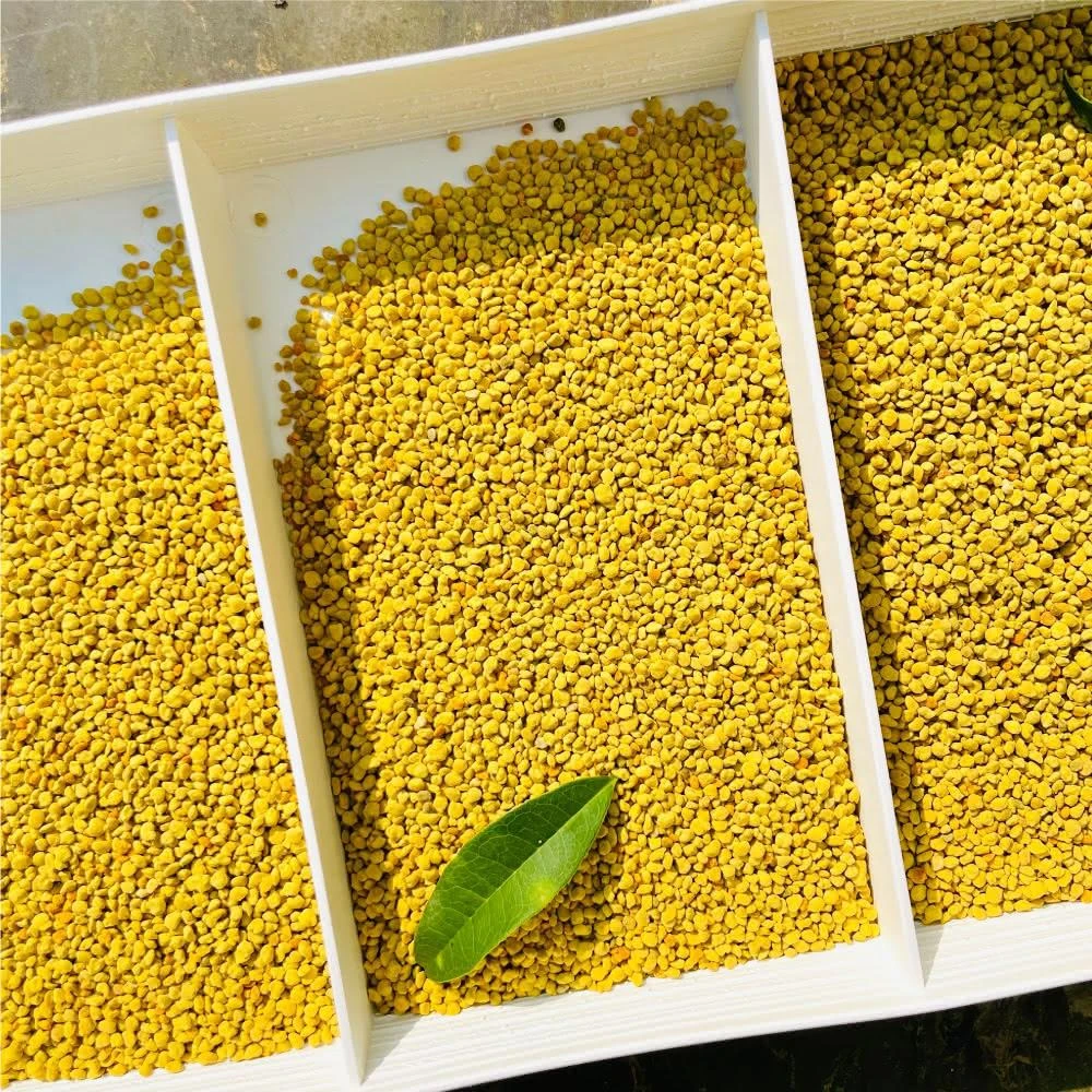 【阿公養的一窩蜂】頂級鹽膚木花粉500公克(埔鹽花粉)