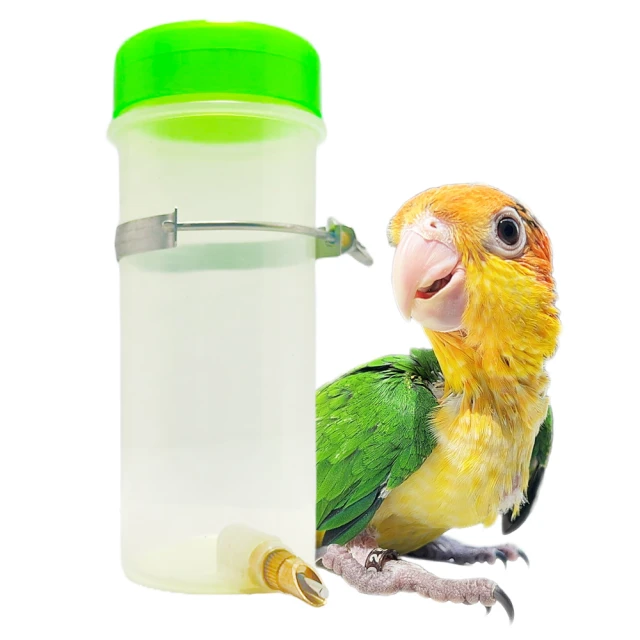 【YOYO 悠悠水族】撞針式寵物飲水器鳥用品、鳥玩具、鸚鵡用品、鸚鵡玩具、滾珠水瓶