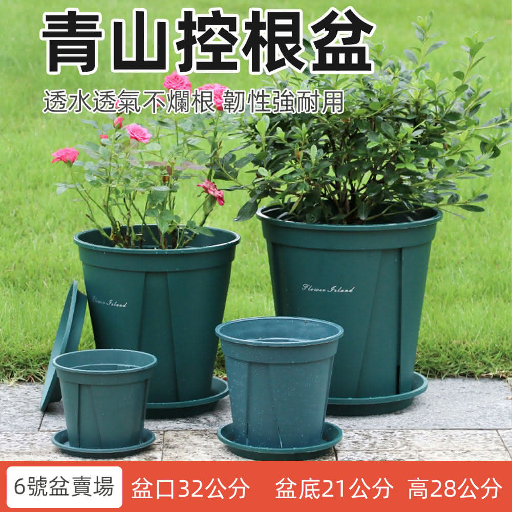 青水 花盆 Amazon | ジェックス 癒し水景 アクアキャンバス プランツ