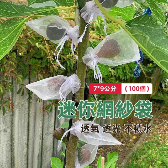 【威揚購物】水果套袋 7*9公分（100入） 果蔬套網 透明網紗袋(無花果套袋 百香果套袋 束口袋 紗網袋 抽繩袋)