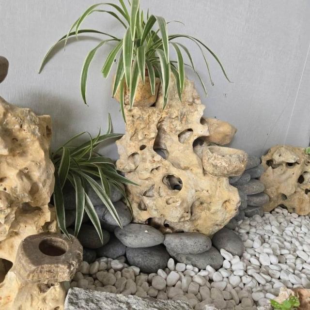 ▪️鑑賞石▪️置物▪️飾石 ■ 糸掛石 ■水石 ■ さいたま市大宮盆栽美術館