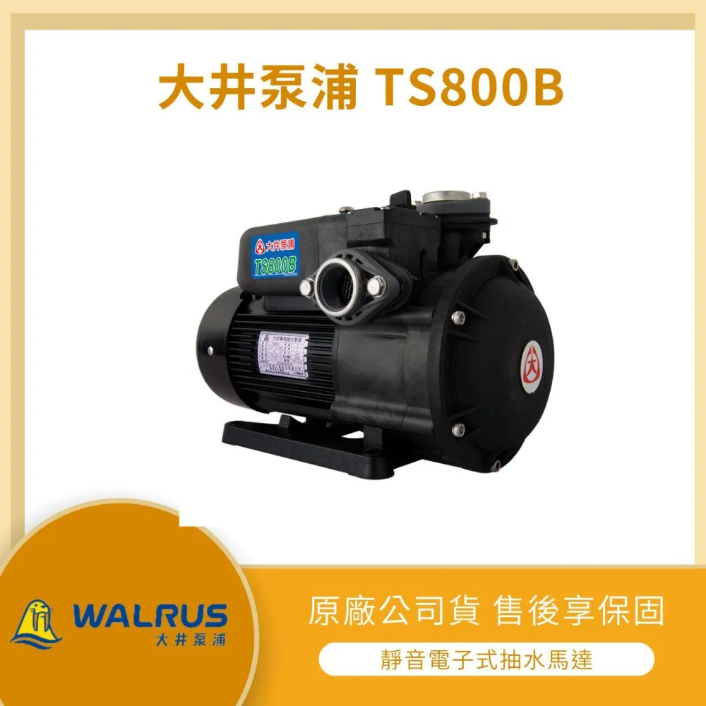 抽水機,大井泵浦,Legend Miracle Ambition (LMA) - momo購物網- 好評推薦-2026年1月