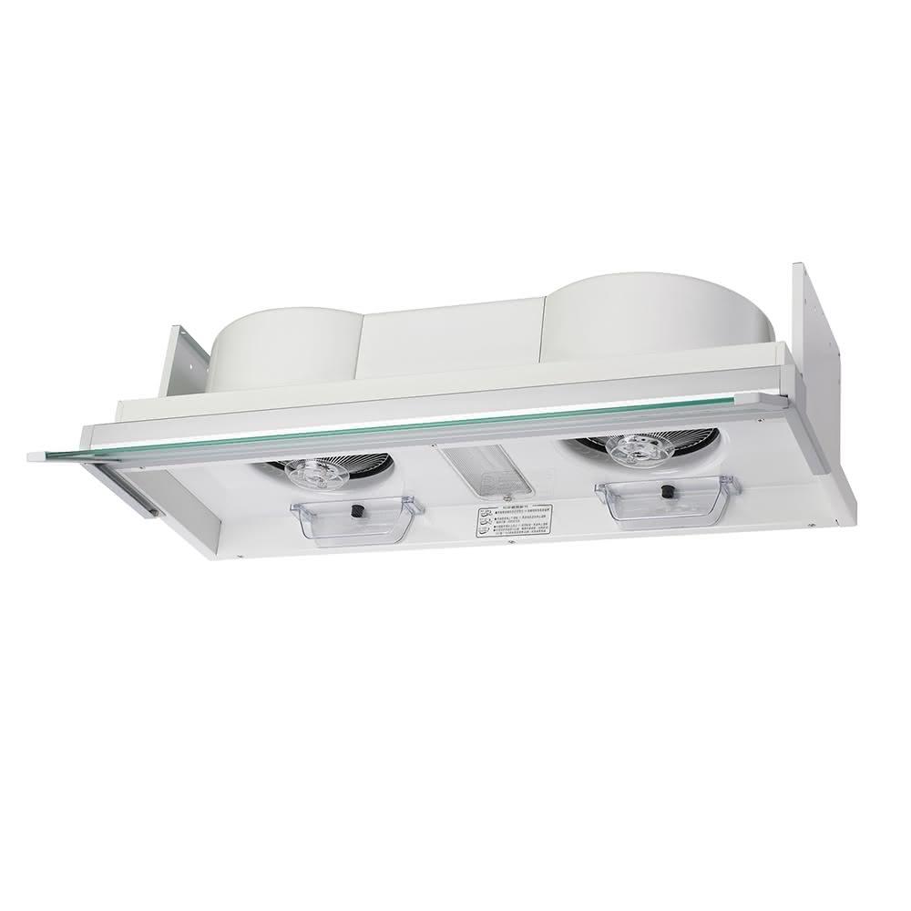 Rinnai 林內 隱藏式專利設計電熱除油排油煙機 RH-8170E 含運不安裝