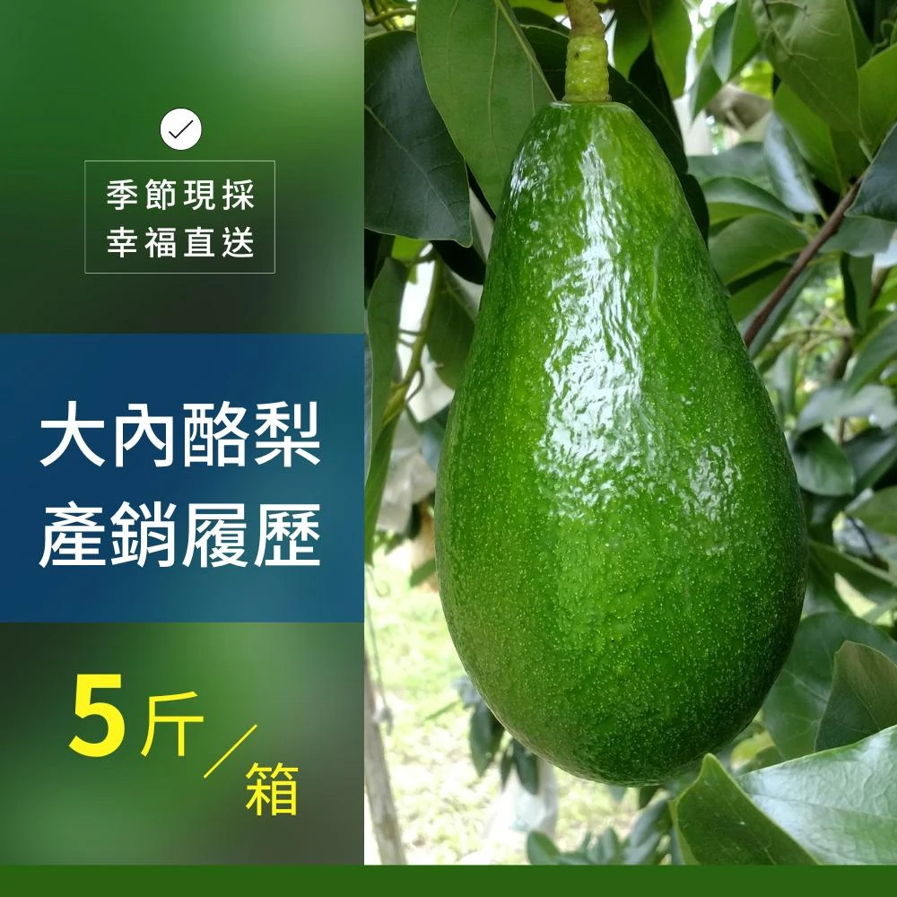 樂咖田庄農場 酪梨5斤/箱（不轉色_厚兒、秋可得）