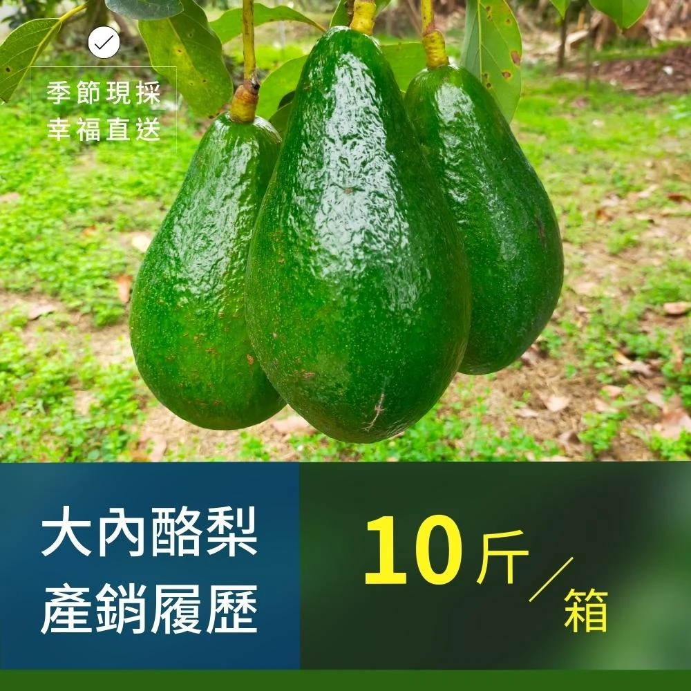 樂咖田庄農場 酪梨10斤/箱（不轉色_厚兒、秋可得）