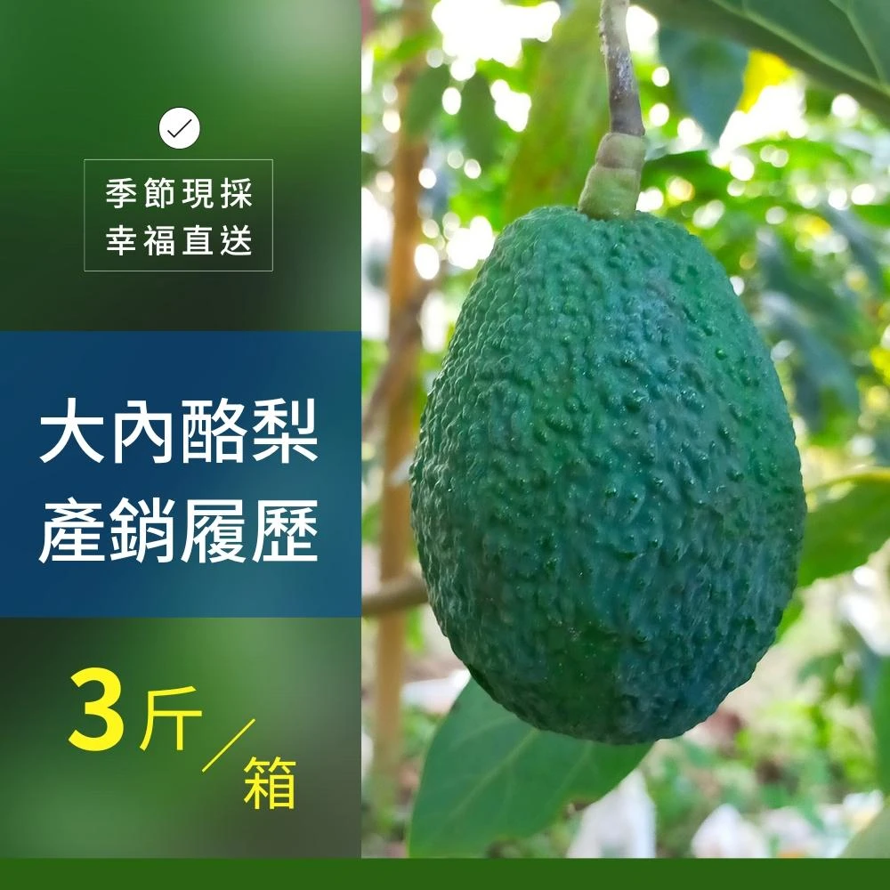樂咖田庄農場 哈斯酪梨3斤/箱（轉色_季節限定）