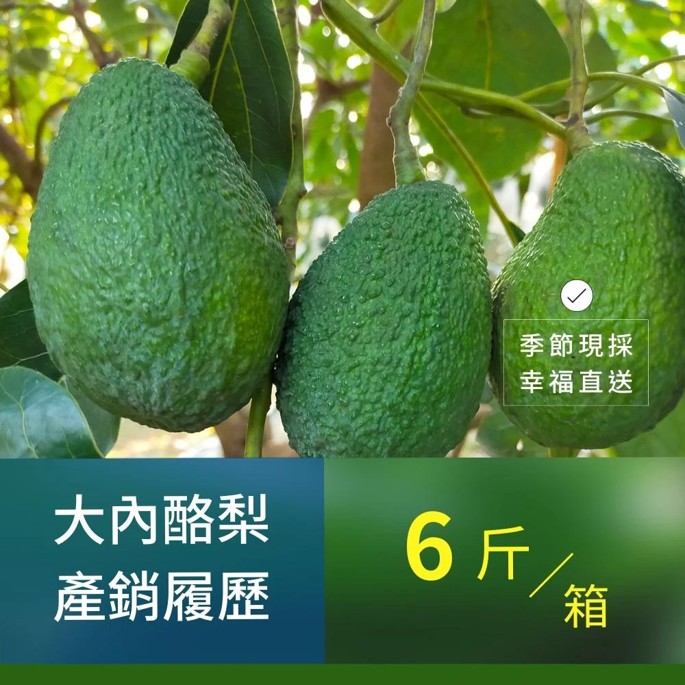 樂咖田庄農場 哈斯酪梨6斤/箱（轉色_季節限定）