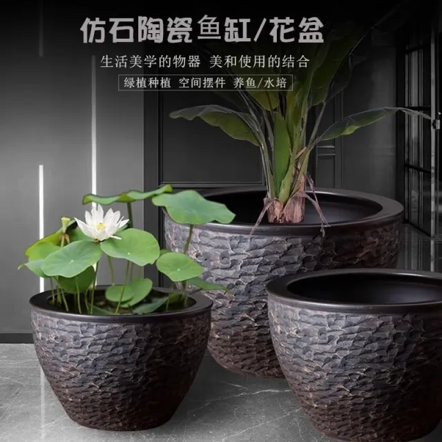 特大荷花缸 • 金魚缸 特大荷花缸 • 金魚缸 特大荷花缸 • 金魚缸 大型荷花缸的價格推薦