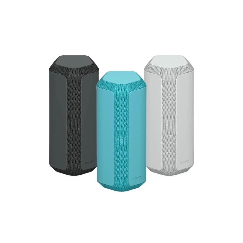 【SONY 索尼】SONY SRS-XE300 重低音 藍牙喇叭 (台灣公司貨) IP67防水防塵