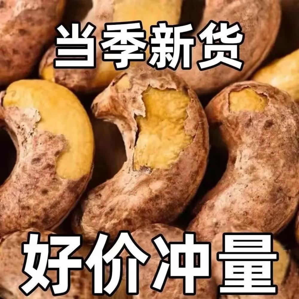 驢小子【A180型】新貨越南鹽焗紫皮腰果450g大罐裝堅果孕婦零食