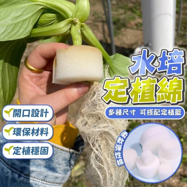台灣現貨 ️多種尺寸 定植棉 海綿 水耕海綿 海棉 定植籃 定植杯 育苗棉 定植海綿 水耕泡綿 園藝 水培 水耕 育苗
