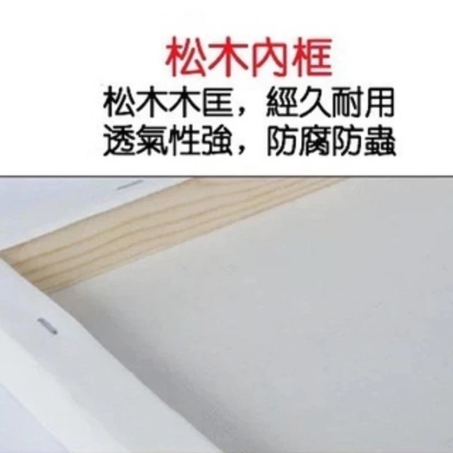  數字油畫 20*20 油畫diy diy材料包 填色畫 房屋佈置 油畫 填色