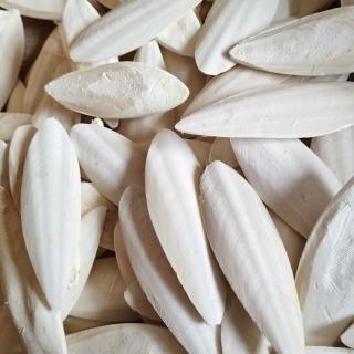 墨魚骨 鈣質補充 無漂白 脫鹽 鸚鵡 陸龜 爬蟲補鈣 爬蟲鈣粉d3 D3 鸚鵡補鈣 烏龜 澤龜 蜥蜴 熊貓購物