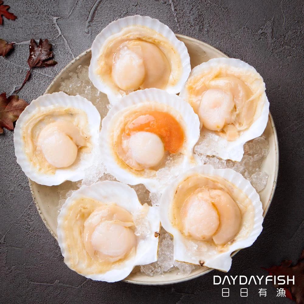 【日日有漁】半殼扇貝(500g/約4~6粒)