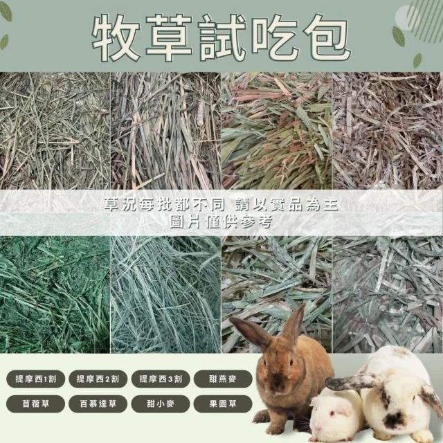 《100g試吃包》精選牧草 提摩西一番割 提摩西二番割 甜燕麥 苜蓿草 小寵牧草 鼠兔牧草 兔用牧草 小動物牧草