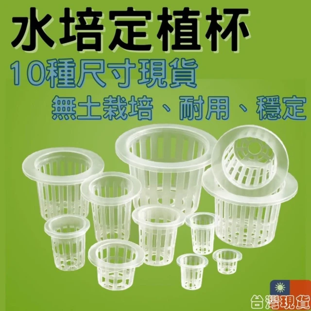 沐晨植物園｜定植杯 定植藍 定植籃 水培藍 水耕 水培 魚菜共生 無土栽培 園藝 植物固根器 水耕植物 水培固定器
