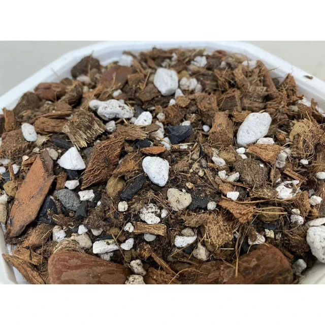 【欣榮園藝資材行】全館599免運 觀音蓮/天南星科/龜背芋專用介質(頂級) 1公升 觀葉通用介質
