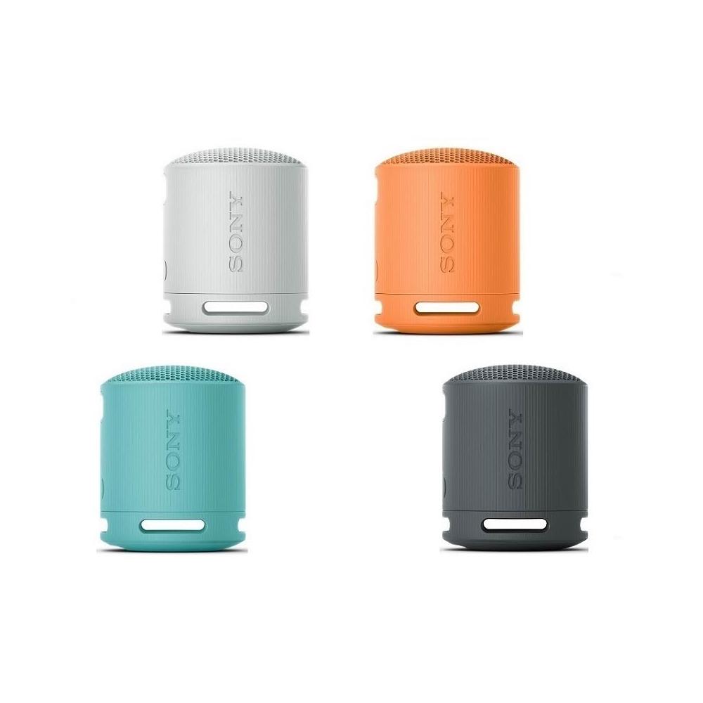 【SONY 索尼】SRS-XB100 藍牙喇叭 (台灣公司貨) 送矽膠保護套