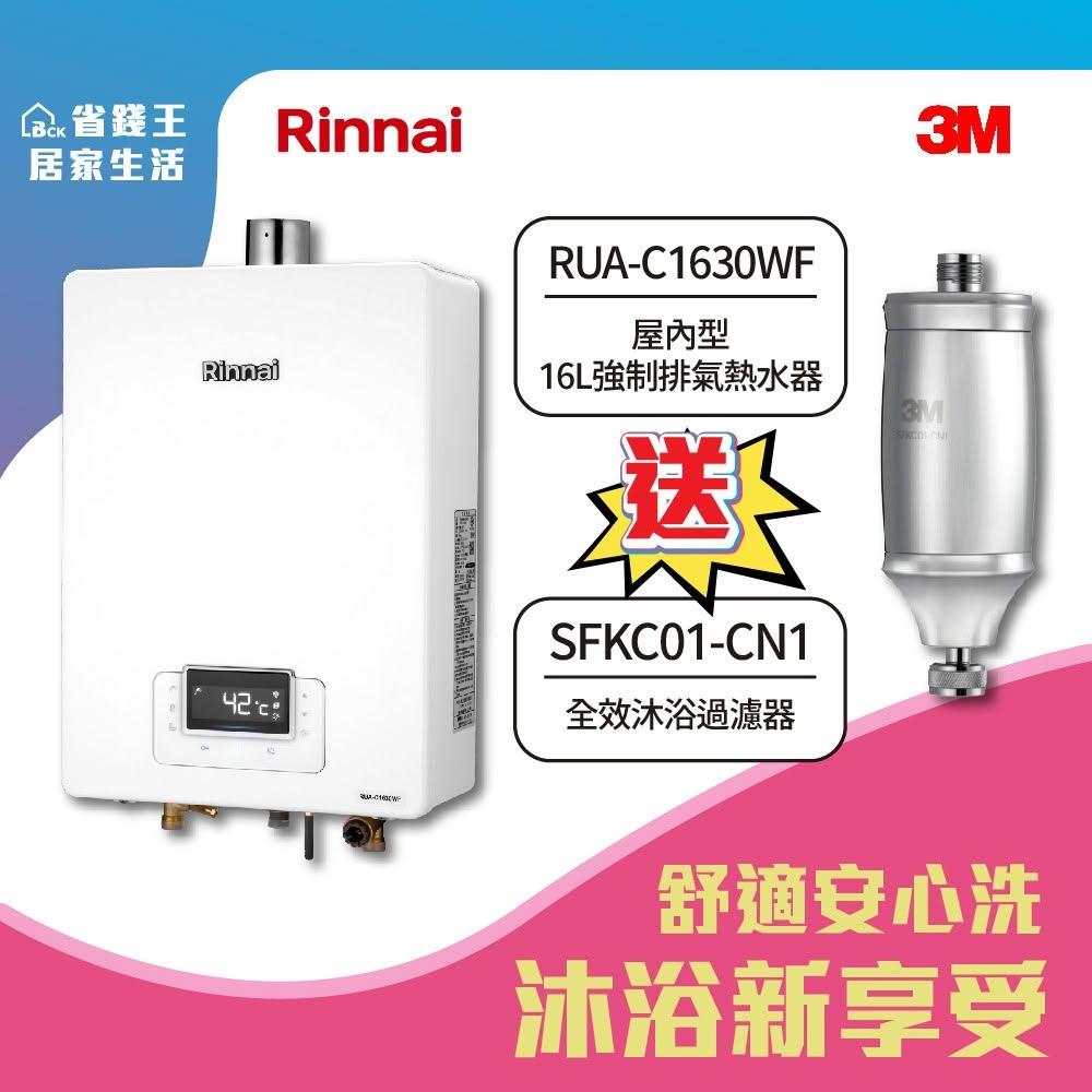 【林內】RUA-C1630WF 屋內型16L強制排氣熱水器 附 3M 全效沐浴過濾器