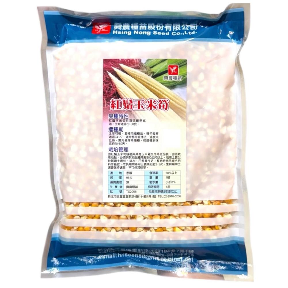 基因色彩- momo購物網- 好評推薦- 2026年1月