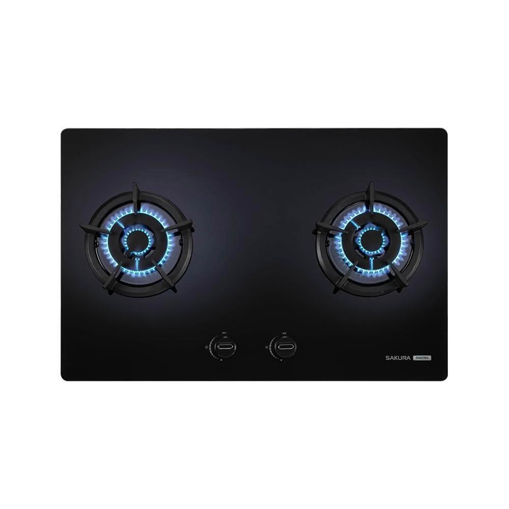 SAKURA櫻花 二口大面板易清檯面爐 G2623BG(LPG)
