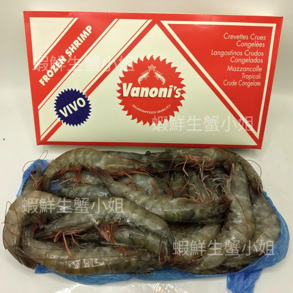【蝦鮮生蟹小姐】活凍白蝦-20/30  約13-19隻