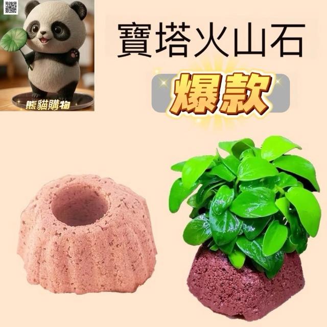 台灣現貨快速出貨 寶塔火山石 水草定植 水草 水族 魚缸 孔雀魚 鬥魚 草缸 水草定植盆