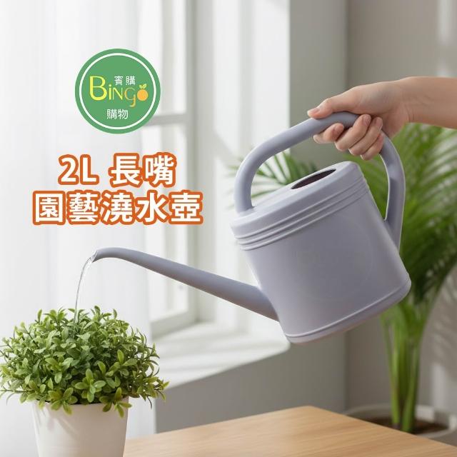 賓購 現貨 2L長嘴澆水壺 家用園藝復古灑水壺 綠植盆栽澆花壺 家用小口徑壺 多肉養花澆水壺 可愛水壺 質感澆水壺