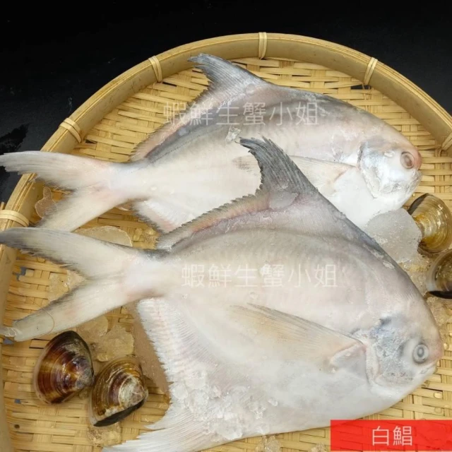 【蝦鮮生蟹小姐】白鯧  200克上/隻