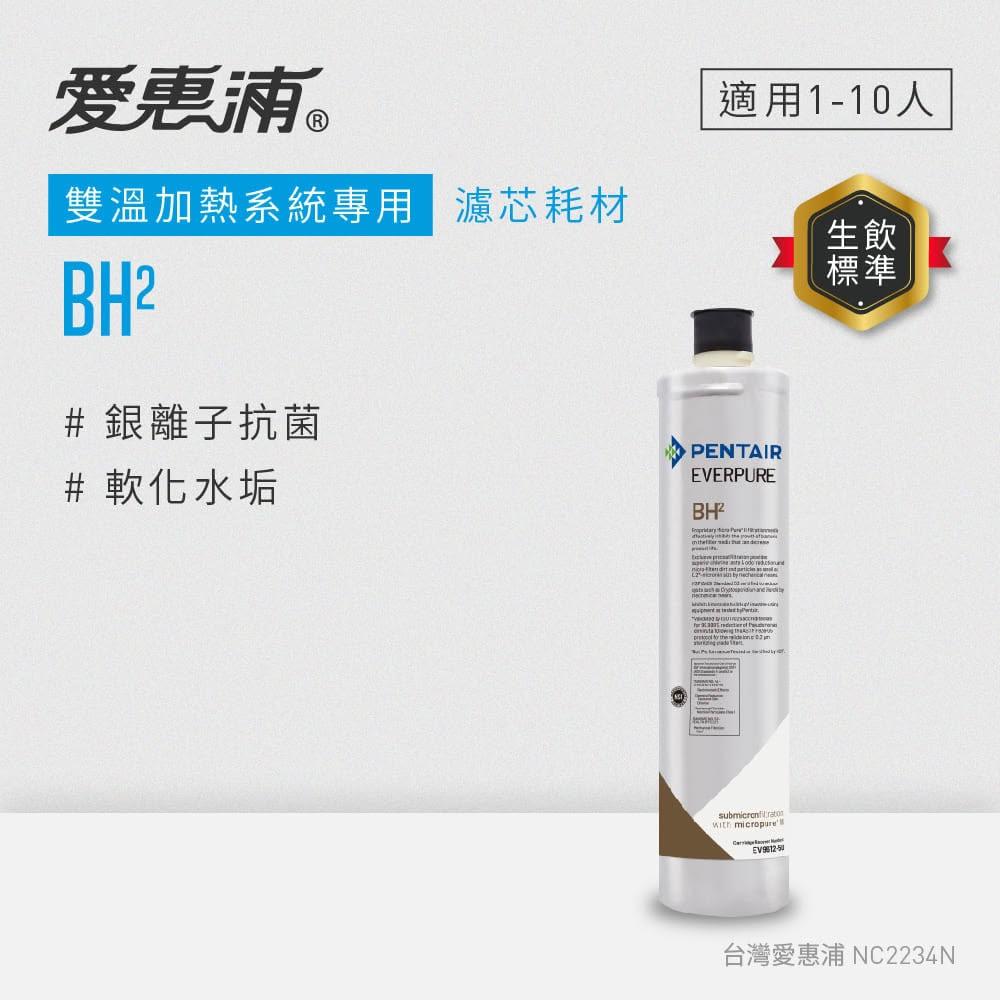 【EVERPURE 愛惠浦】BH2活性碳濾芯(DIY更換)