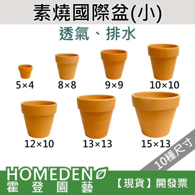 素燒國際盆(小) 紅瓦盆 紅土盆 透氣盆 有孔 紅陶盆 素陶盆 多肉盆 花盆 花器【HOMEDEN霍登園藝】