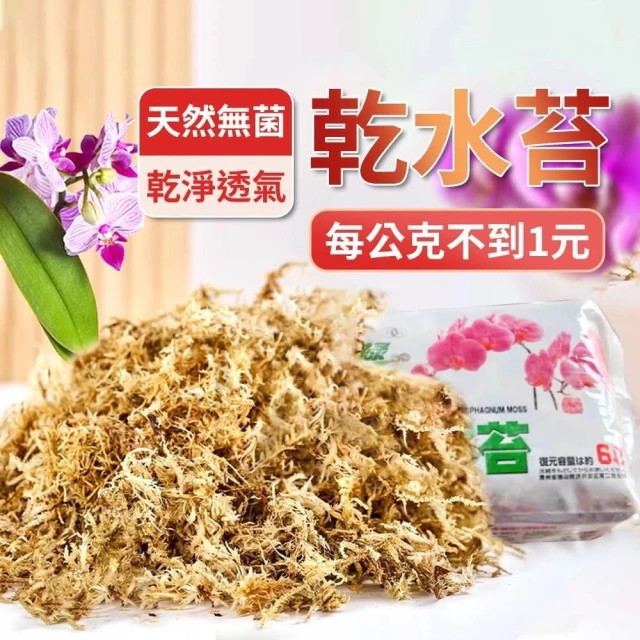 【威揚購物】乾水苔 鹿角蕨介質 天然乾苔蘚 鹿角蕨專用水苔 蝴蝶蘭 鐵皮石斛園藝 蘭花介質 觀葉介質