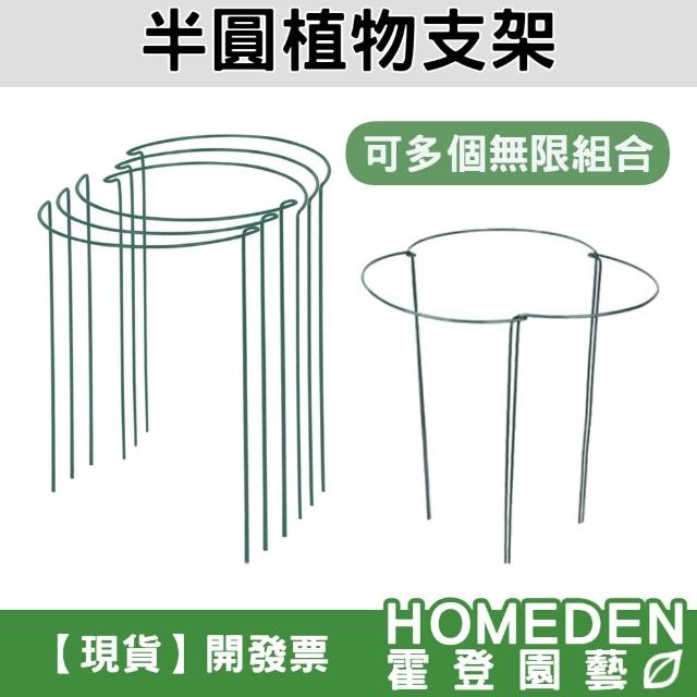 半圓植物支架 植物支架 花支架 葉支架 爬藤架 蘭花支架 園藝支撐桿 花園圍籬【HOMEDEN霍登園藝】