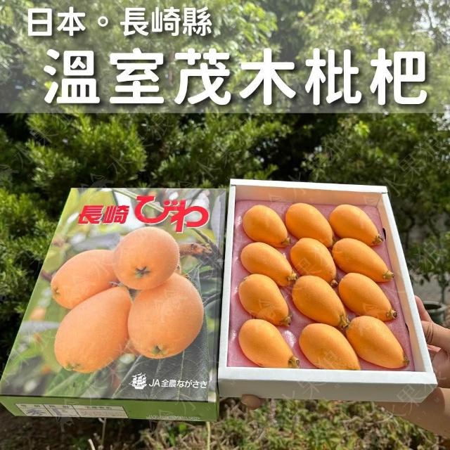 【水果狼】日本長崎縣溫室茂木枇杷禮盒 8-12玉 水果禮盒 500g±10%