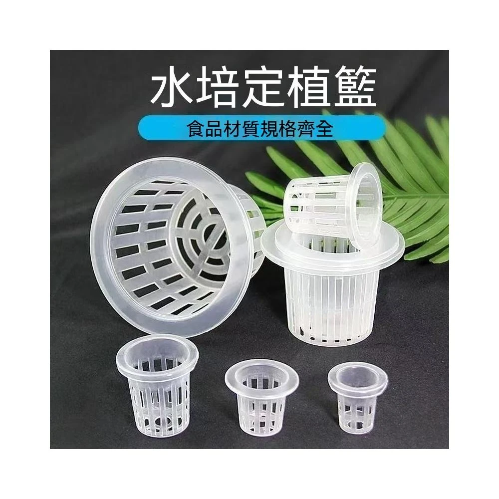 博博精品💥水培蔬菜定植籃無土栽培設備塑料加深種植藍水耕植物定植杯固根器