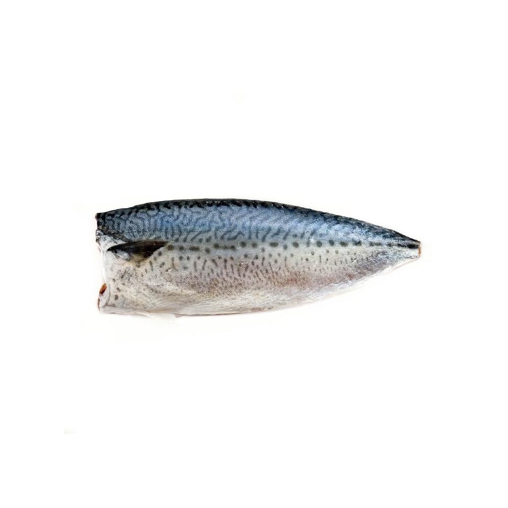 魚大俠 鹽漬-台灣鯖魚片 100 130g 片 -1G3B-FH407