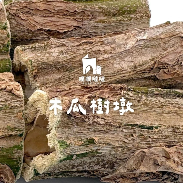 【PUBUTADA 噗噗噠噠】天然烘乾木瓜樹墩 倉鼠零食 磨牙玩具 