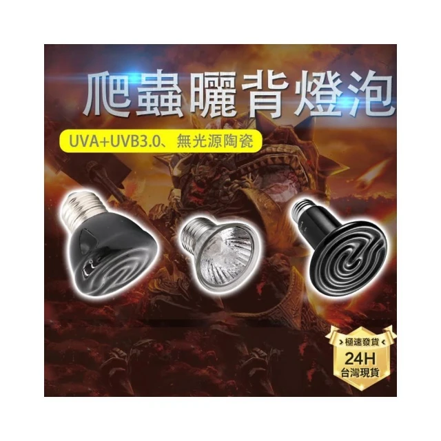 龜室｜爬蟲加熱燈泡 陸龜曬背燈 兩棲 UVA UVB 保暖 烏龜 兩棲 澤龜 鳥用 燈具 陸龜 水龜陶瓷蜥蜴