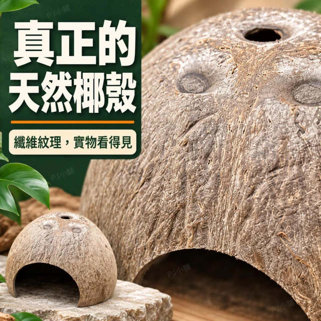 龜室 爬蟲躲避屋 躲藏窩 守宮 椰子殼 陸龜烏龜爬蟲爬寵蜘蛛蜥蜴兩棲角蛙天然椰殼椰洞穴造景